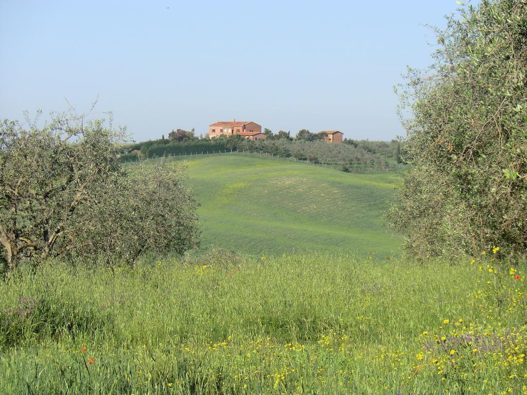 Agriturismo Podernuovo Asciano Eksteriør bilde