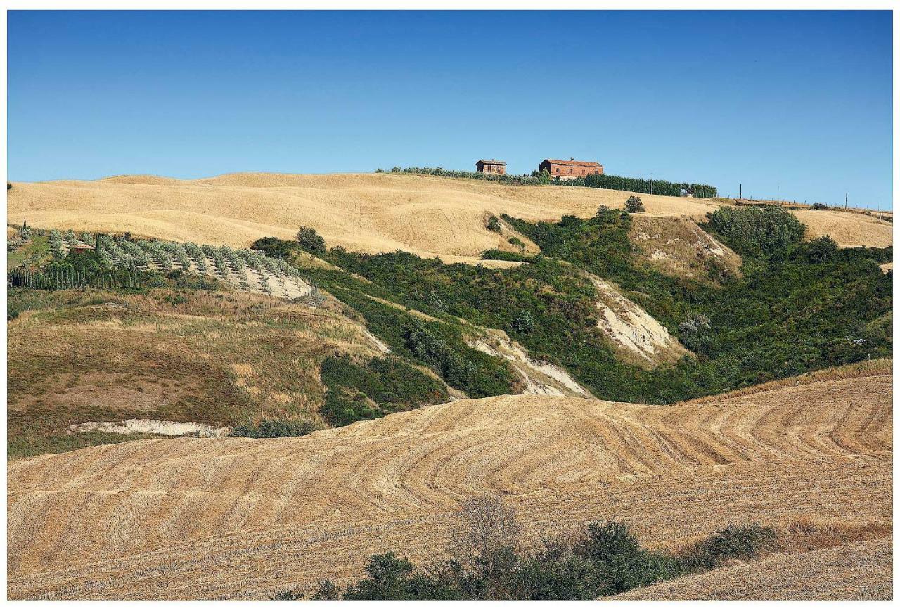 Agriturismo Podernuovo Asciano Eksteriør bilde